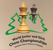 www.wjcc2010.pl