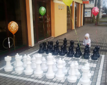 Шахматы в Каугури
